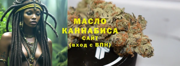 гидра Богородск