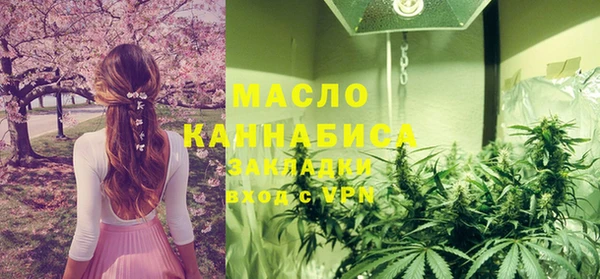 прущие грибы Новозыбков