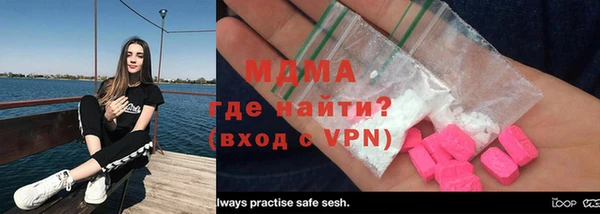 гидра Богородск