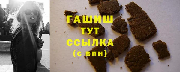 гидра Богородск