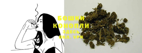 spice Богородицк