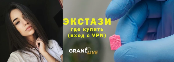 spice Богородицк