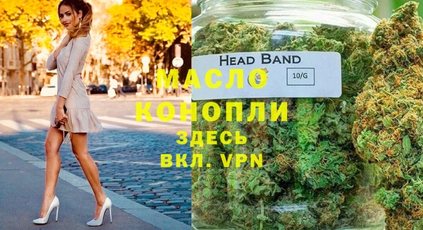 spice Богородицк