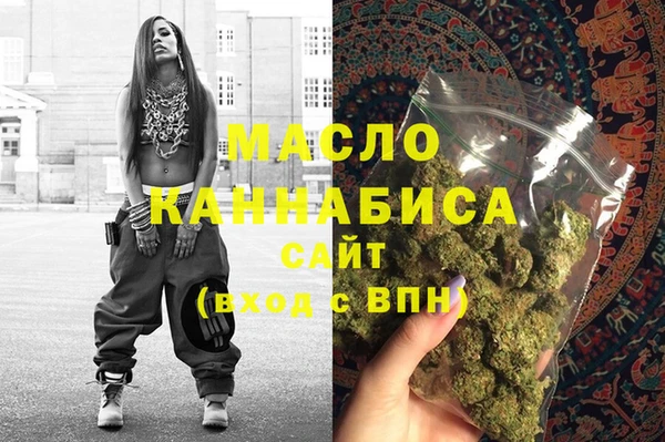 гидра Богородск