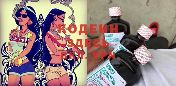 гидра Богородск