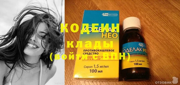 гидра Богородск