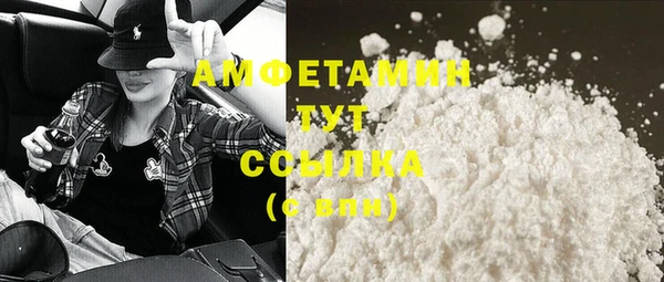 spice Богородицк