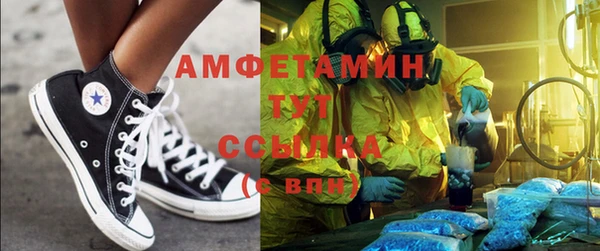 spice Богородицк