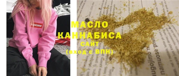 гидра Богородск