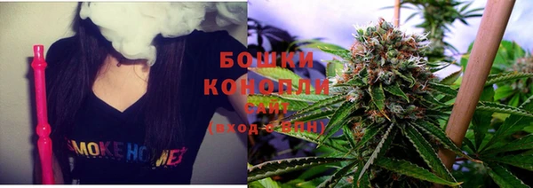 spice Богородицк